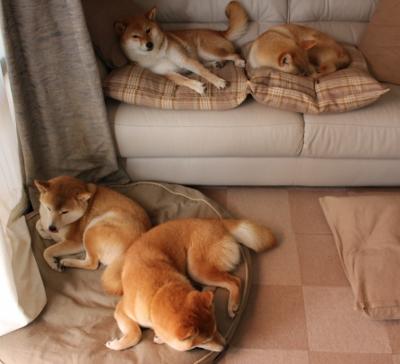 kaiyun体育综合-_中国选手李娜精彩表现，助力本土精神鼓舞士气_，李娜生涯