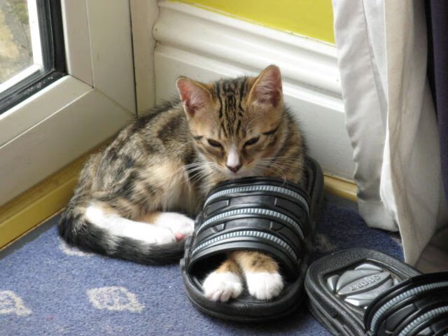 kaiyun-_新兴国家在国际比赛中的冲击与崛起_，新兴国家的崛起会带来什么影响