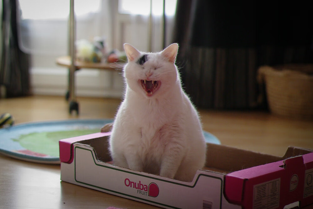 kaiyun开云·官方网站-《绝地求生》全球邀请赛与《堡垒之夜》世界杯的精彩对比，2021年绝地求生全球邀请赛赛制