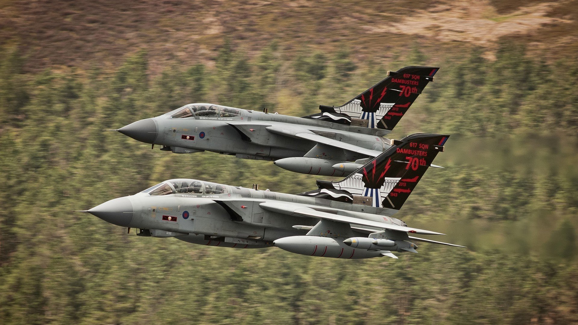 开云体育在线赛事直播-意大利马术协会与美洲马术协会合作，举办国际马术交流活动，促进文化互鉴。