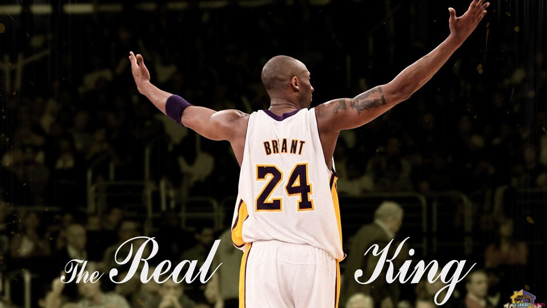 开云体育官网登入-短蛙赛场上的“中国速度”——覃海洋